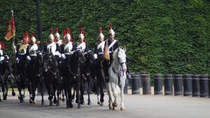 Auditor rotation idea: a mounted guard troop riding past in formation during a changing of the guard