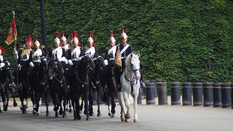 Auditor rotation idea: a mounted guard troop riding past in formation during a changing of the guard