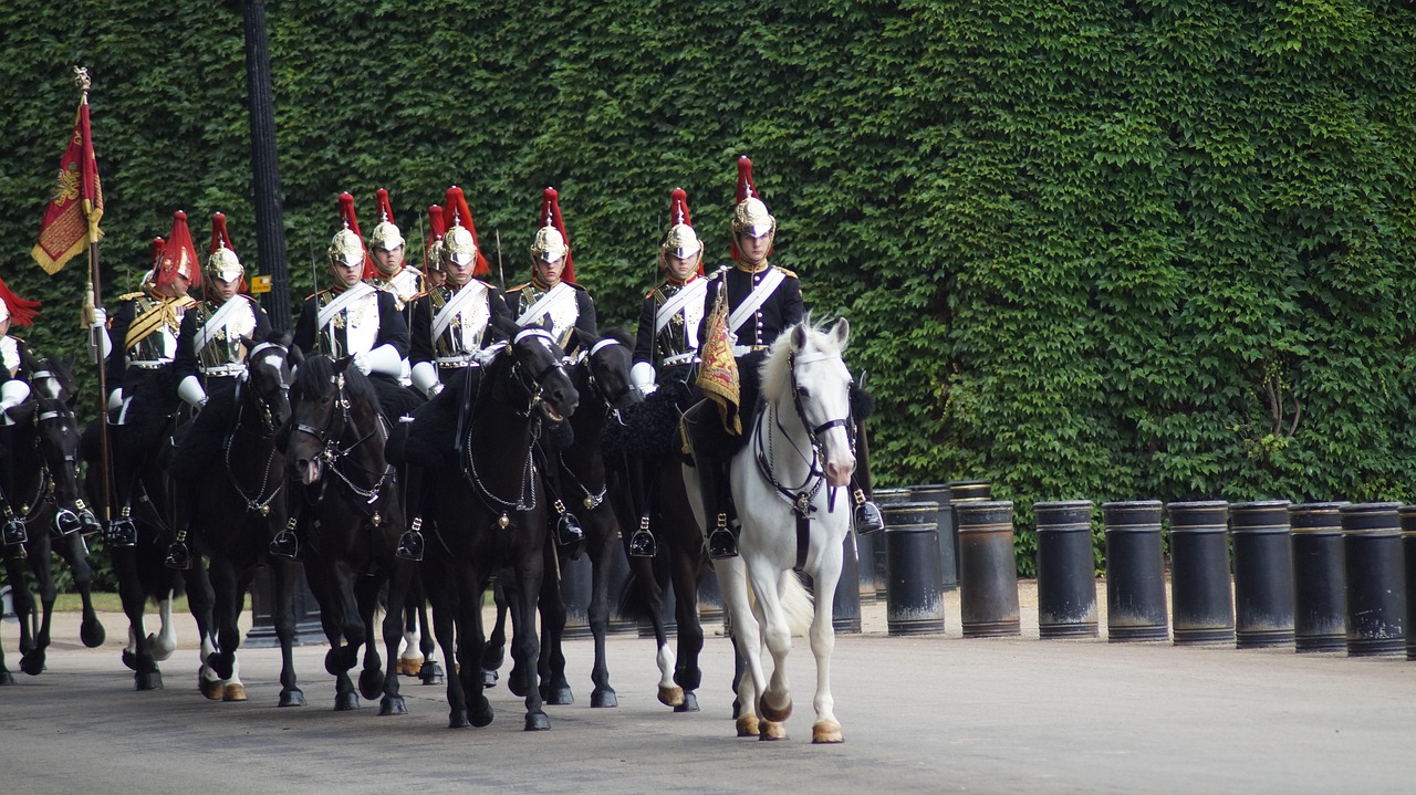 Auditor rotation idea: a mounted guard troop riding past in formation during a changing of the guard