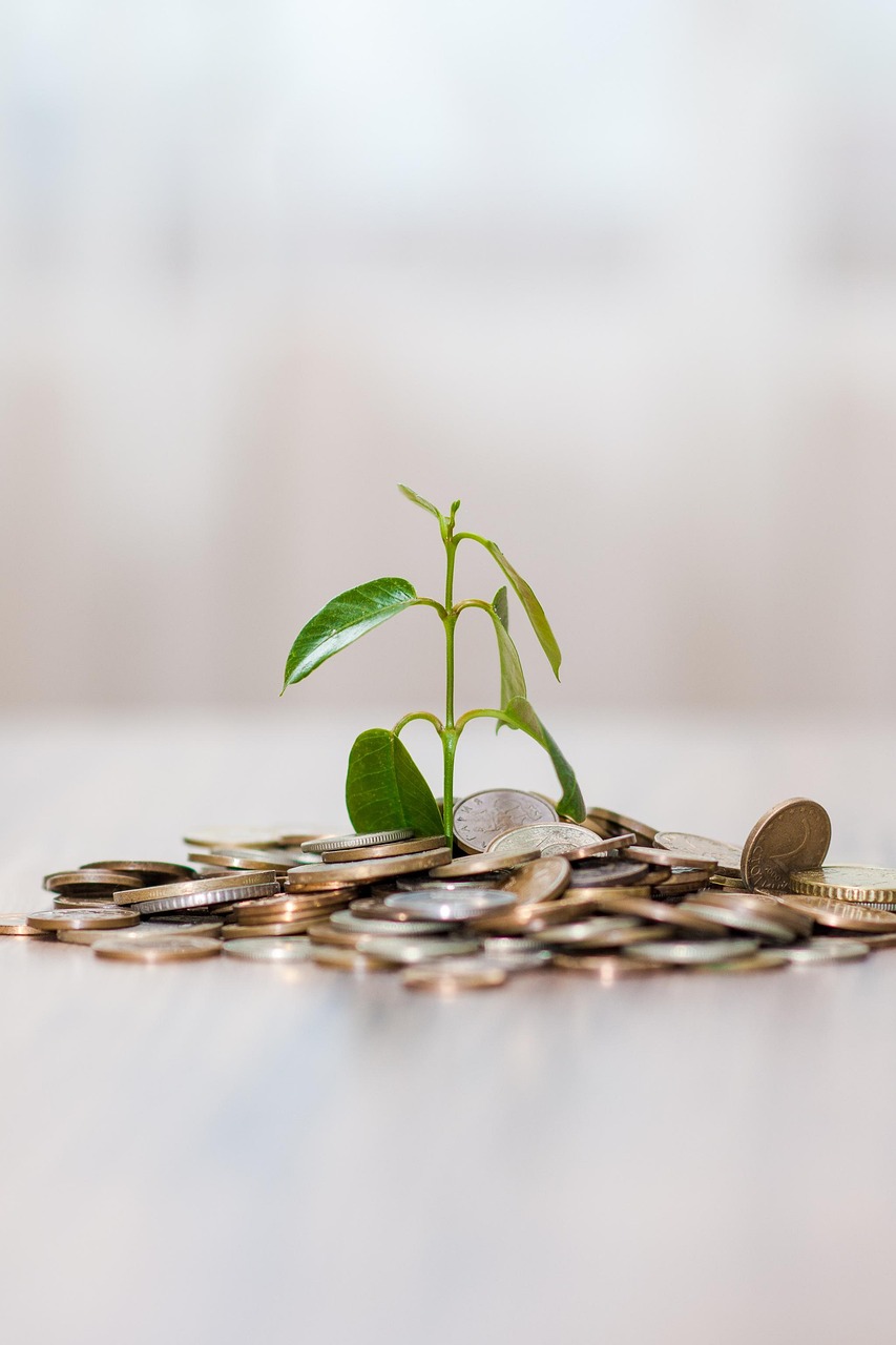 Current yield of a bond: a green sprout growing from a pile of coins, suggesting income earned on money invested