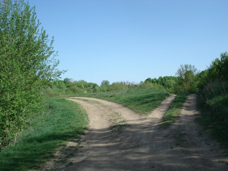 Demerger of company shares: a dirt road splitting into two separate tracks through green fields