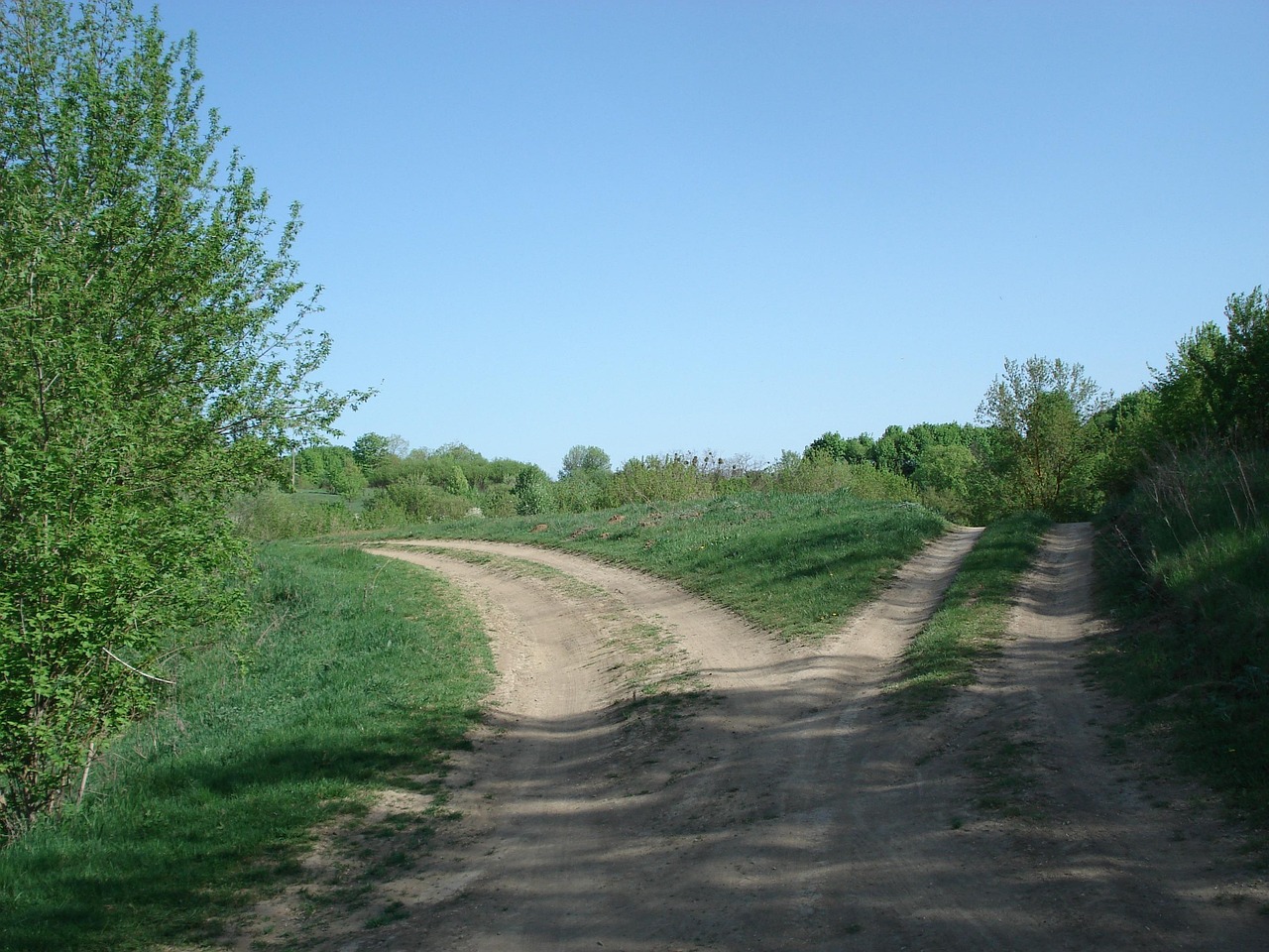 Demerger of company shares: a dirt road splitting into two separate tracks through green fields