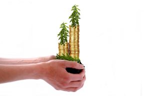 Dividend distribution policy concept: hands holding stacks of coins with green plants growing from them