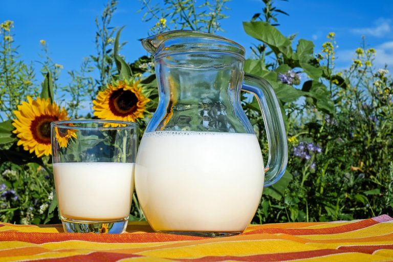 Dodla Dairy FSSAI case: a glass and a jug of milk on a table