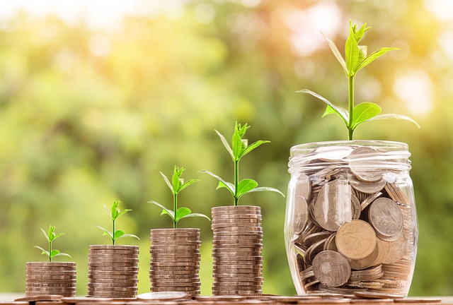 Fed rate decision: stacks of coins with green seedlings growing out of them beside a glass jar of coins