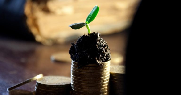 Groww q2 results - rupee coins stack