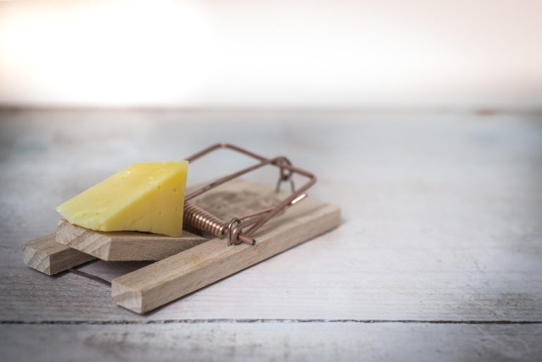 GTT order meaning: a set mousetrap with cheese, waiting for its trigger