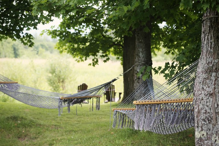 Pre-holiday effect idea: empty hammocks strung between shady trees, like a market resting over a holiday break