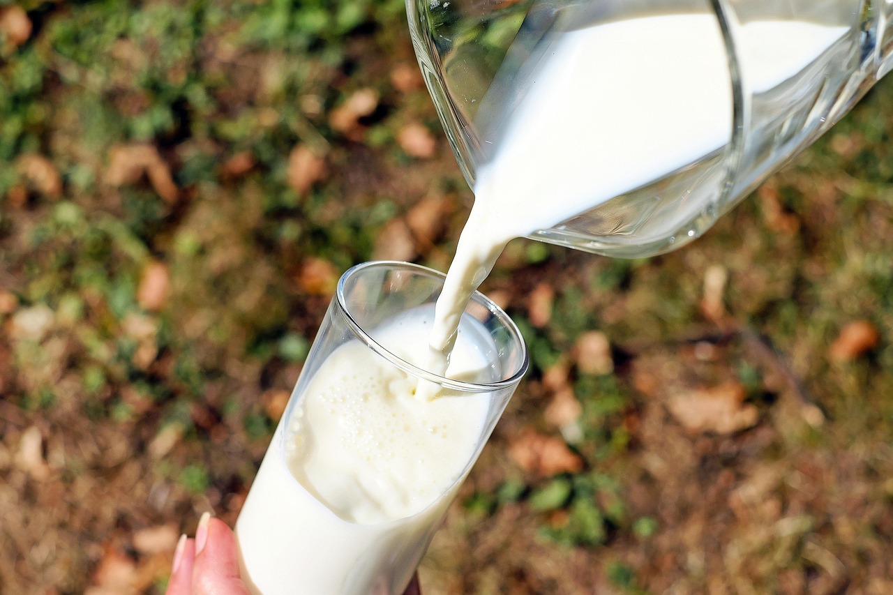 Hatsun Agro Q2 results: fresh milk being poured from a glass jug into a glass