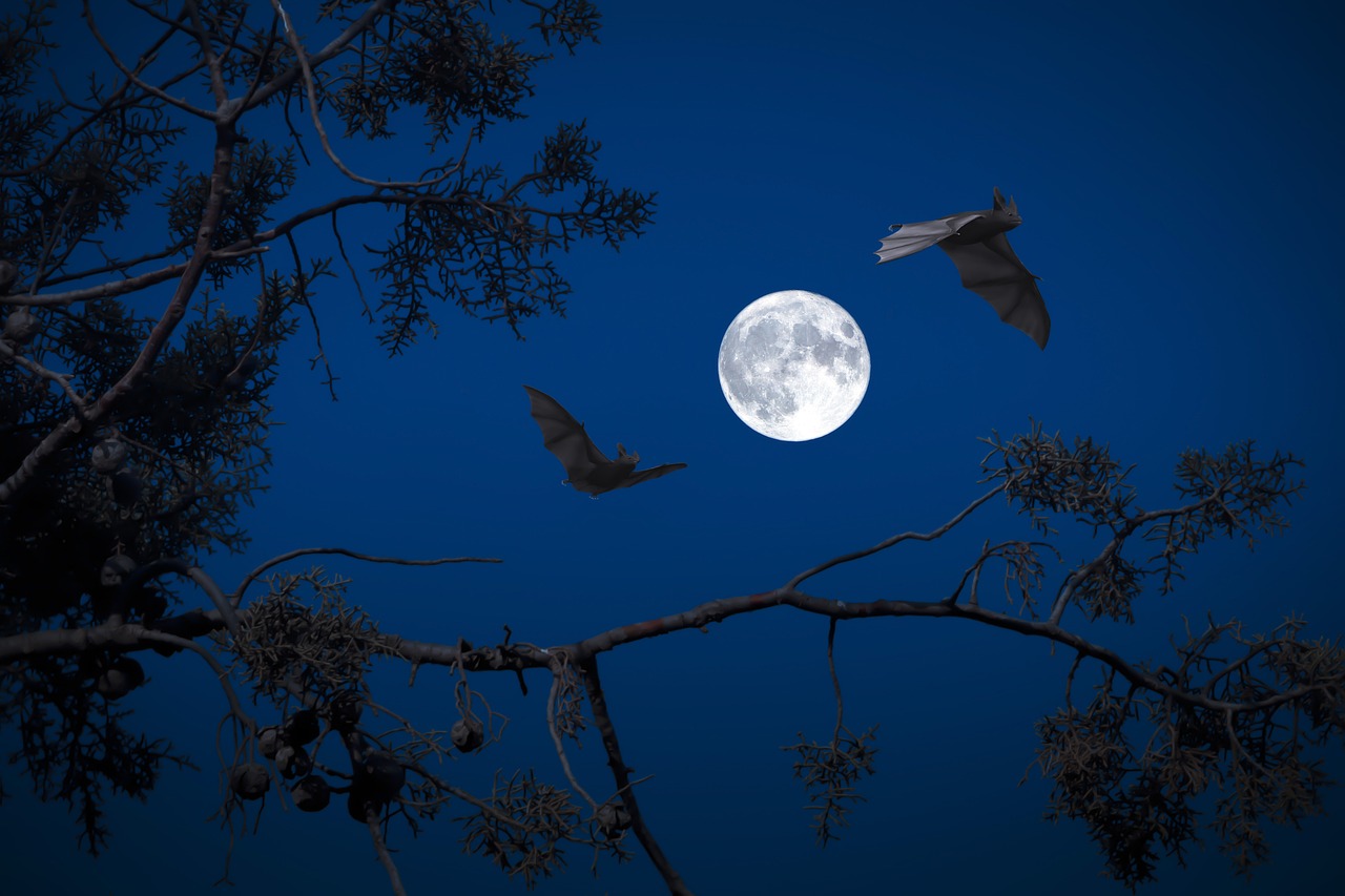 Bat harmonic pattern concept: two bats flying past a full moon at night