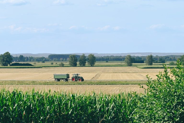 Mahindra Finance Q2 results: a tractor pulling a trailer across harvested farm fields