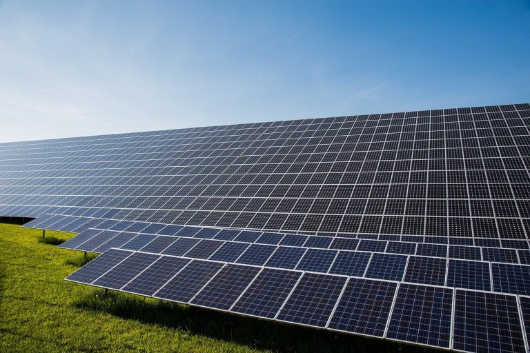 Adani Green Q2 results: rows of solar panels on green grass under a blue sky