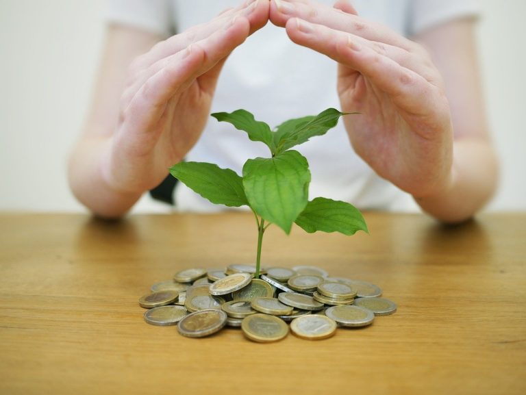 Aditya Birla Sun Life AMC Q2 results: hands sheltering a young plant growing from a pile of coins