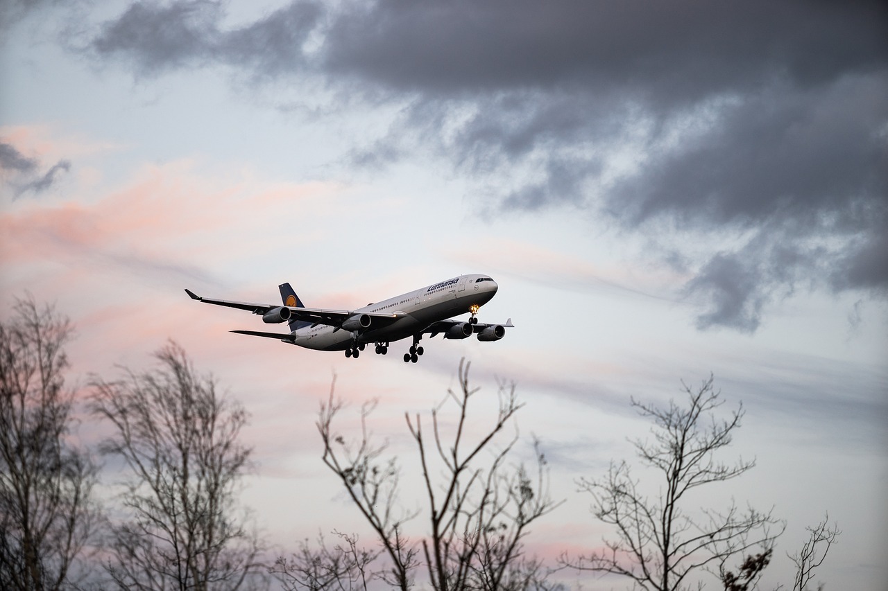 IndiGo Q2 results: a passenger jet coming in to land under a grey evening sky