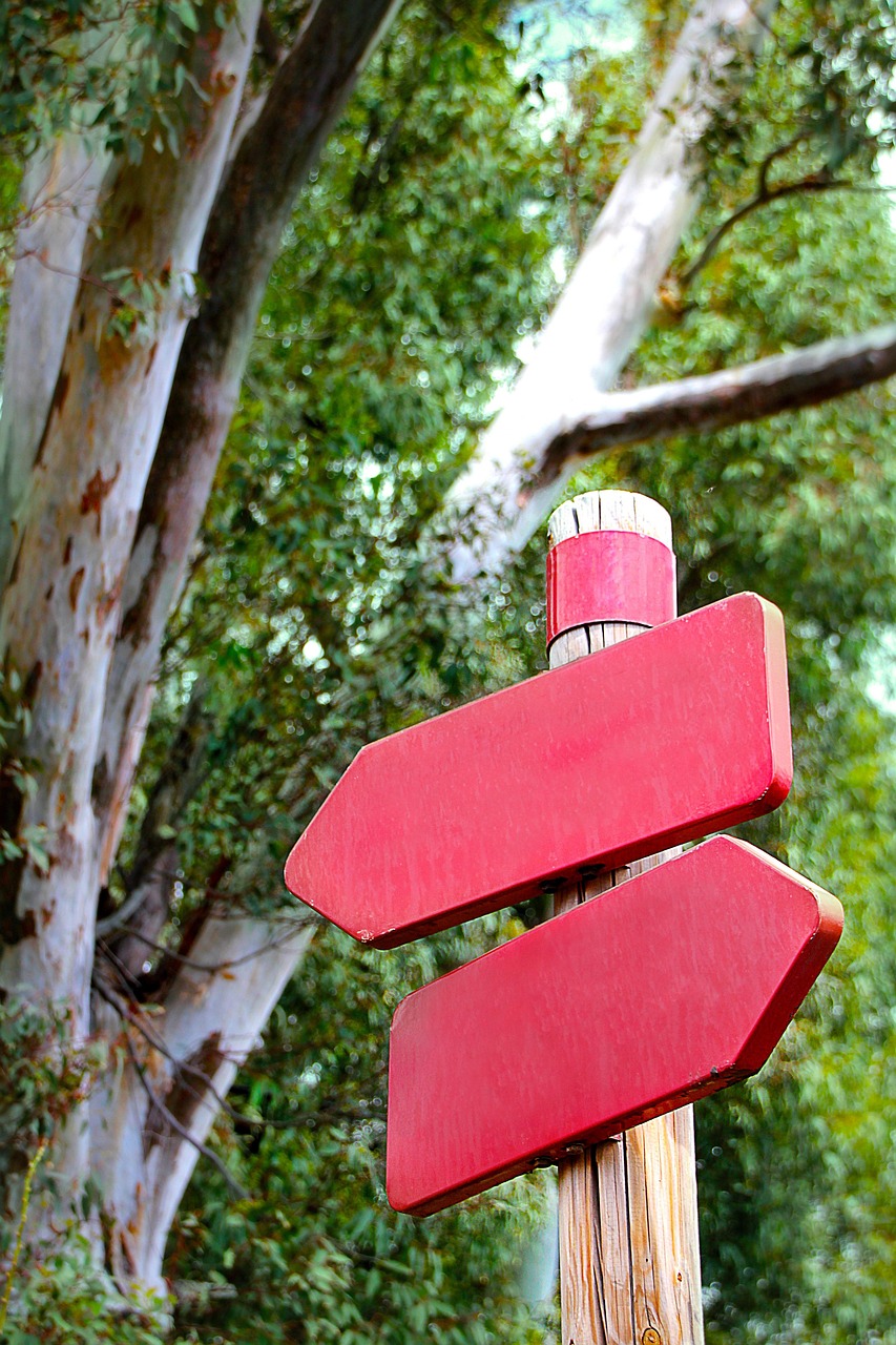 IPO flipping: two blank signposts pointing in opposite directions, like the choice to sell or hold