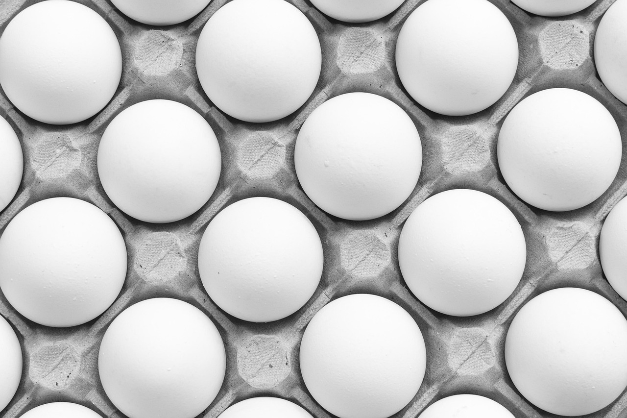 IPO lot size calculation: white eggs packed in fixed rows in a tray