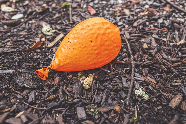 IV crush options: a deflated orange balloon lying on bark mulch, like an option premium after results