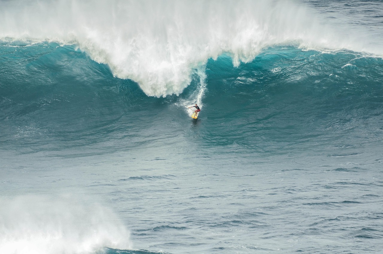 Momentum investing strategy in India: a surfer riding down the face of a large breaking wave