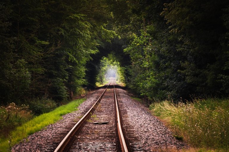 ETF tracking error: two parallel railway rails running through a green forest tunnel