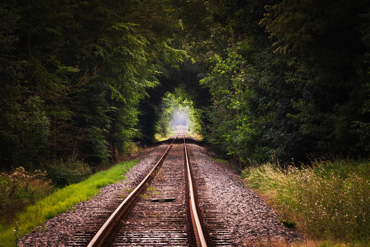 ETF tracking error: two parallel railway rails running through a green forest tunnel
