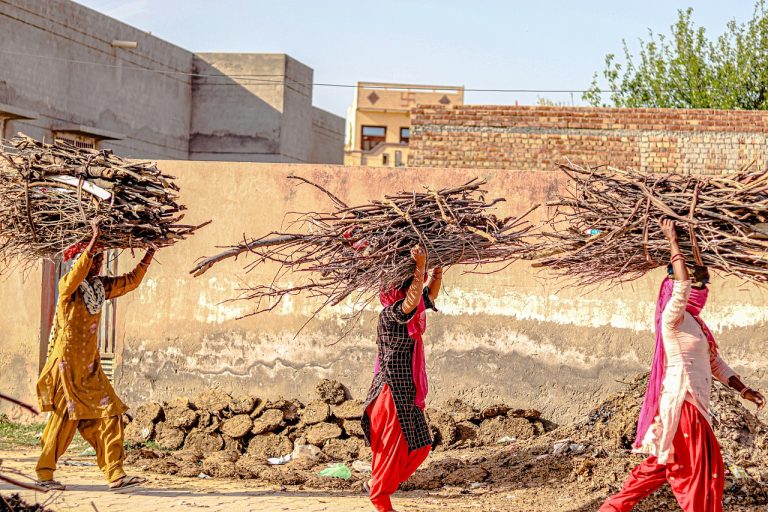 Satin Creditcare Q2 results: women in an Indian village, the borrower base microfinance lenders serve