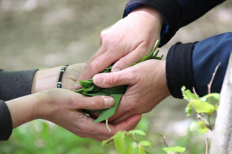 Securities lending and borrowing on NSE: one pair of hands passing a bundle of green leaves into another pair, like a lender handing over shares