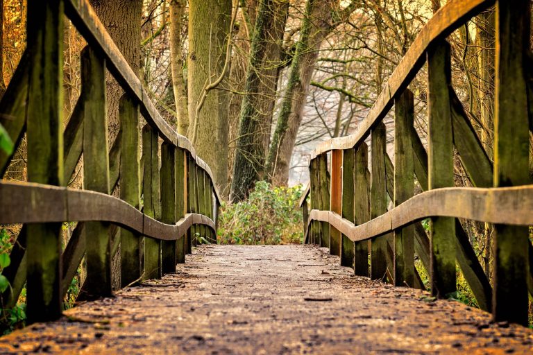 Short duration fund idea: a short wooden footbridge leading through a quiet woodland