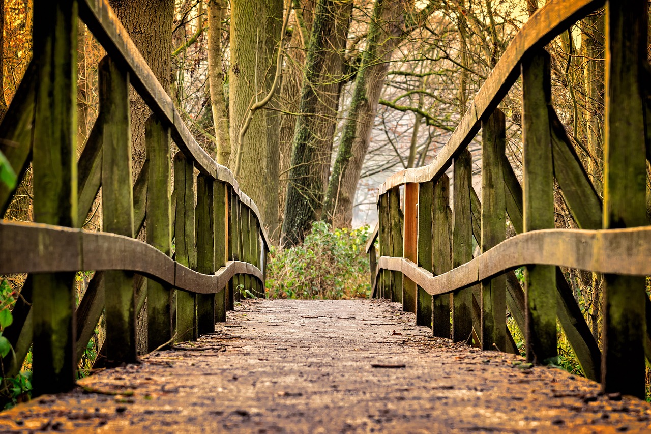Short duration fund idea: a short wooden footbridge leading through a quiet woodland