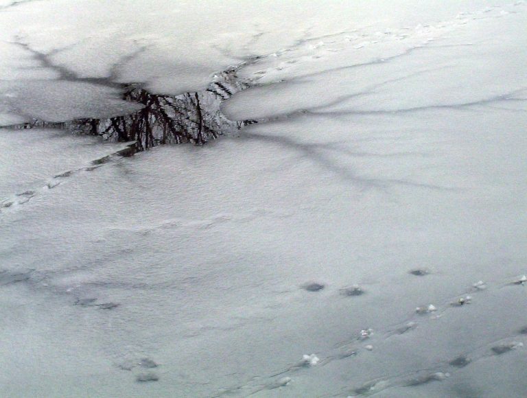 Springate score concept: cracked thin ice on a frozen pond, a warning of hidden financial stress