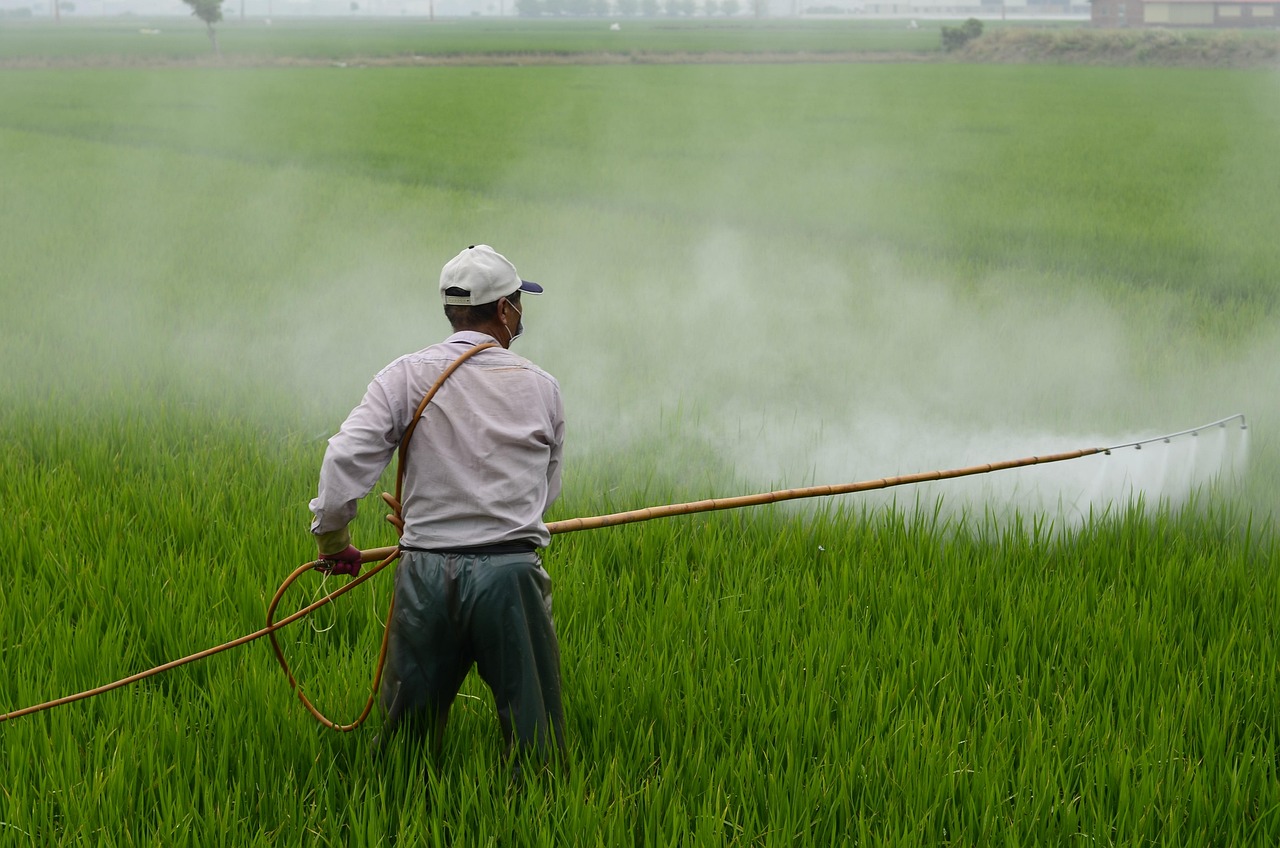 Sumitomo Chemical Q2 results: a farmer spraying crop protection chemicals over a green rice field