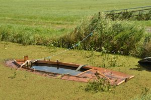 Sunk cost fallacy in trading: a wooden boat sunk in a duckweed-covered canal, still tied to the bank