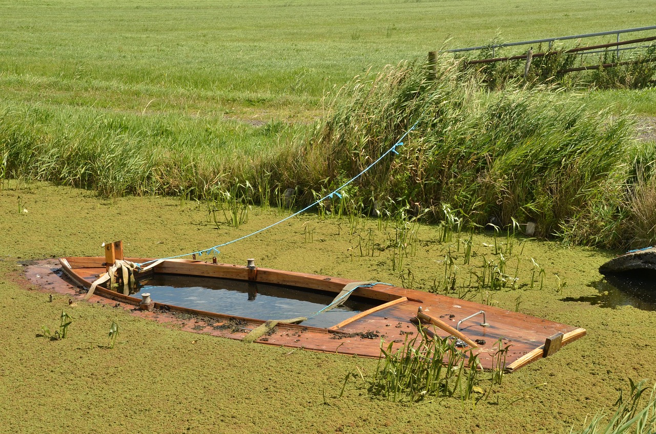 Sunk cost fallacy in trading: a wooden boat sunk in a duckweed-covered canal, still tied to the bank