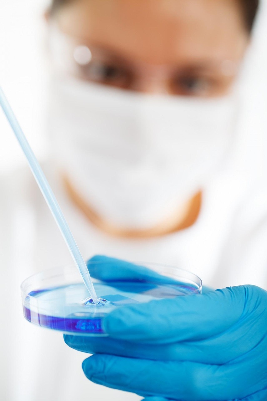 Syngene shares: scientist in gloves and mask pipetting into a petri dish in a research laboratory